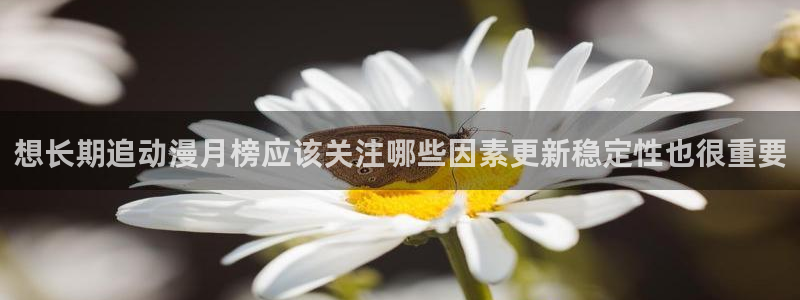 奇漫屋漫画排行榜：想长期追动漫月榜应该关注哪些因素更新稳定性也很重要配图