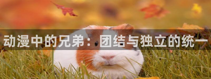喵趣漫画中文网：动漫中的兄弟：团结与独立的统一配图