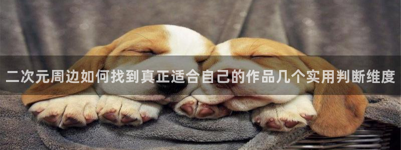 奇漫屋最新新作:二次元周边如何找到真正适合自己的作品几个实用判断维度配图