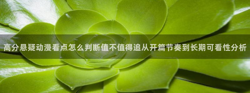 奇漫屋冒险漫画：高分悬疑动漫看点怎么判断值不值得追从开篇节奏到长期可看性分析配图