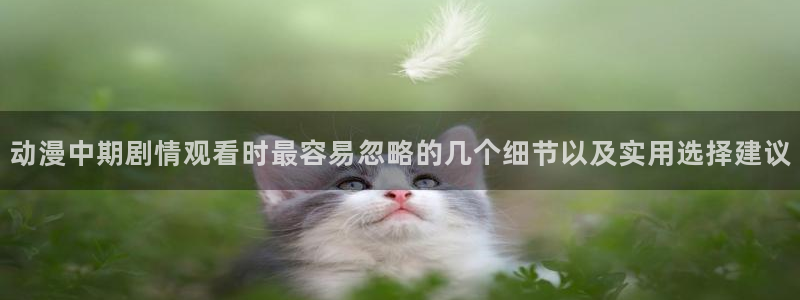 2026喵趣漫画:动漫中期剧情观看时最容易忽略的几个细节以及实用选择建议配图