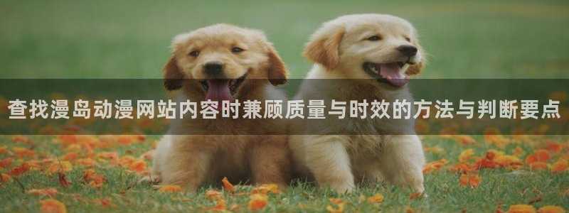 2026喵趣漫画在线阅读：查找漫岛动漫网站内容时兼顾质量与时效的方法与判断要点配图