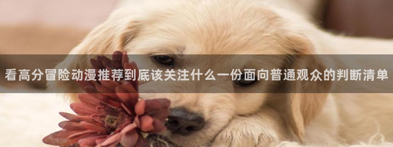 喵趣漫画最新排行榜:看高分冒险动漫推荐到底该关注什么一份面向普通观众的判断清单配图